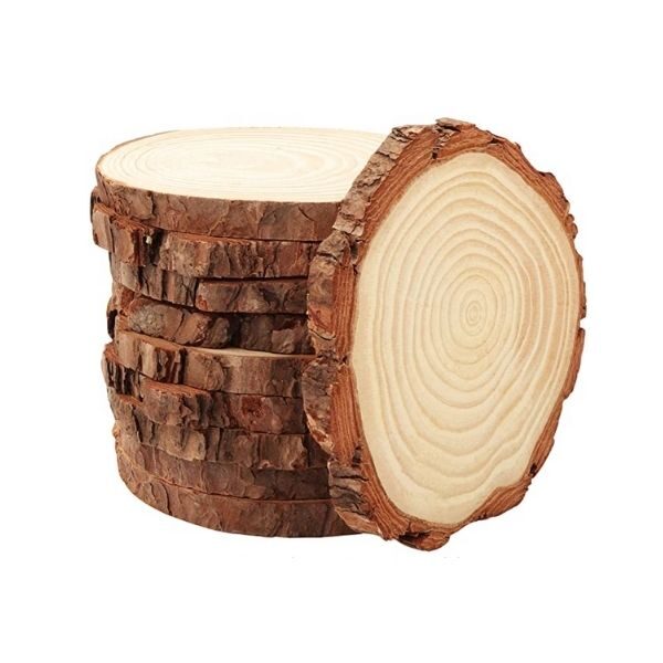 Cuscino decorativo Struttura di legno di tronco d'albero tagliati 