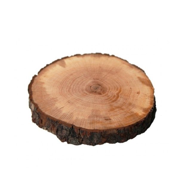 Sotto piatto tronco albero con corteccia 20-25cm – Mottinox